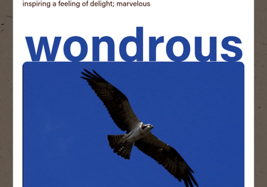Wonderous (adjective) inspiring a feeling of delight; marvelous