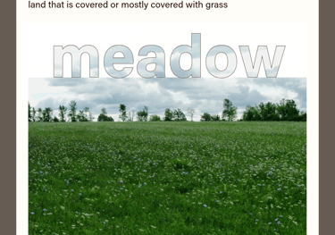 meadow (noun) land that is covered or mostly covered with grass