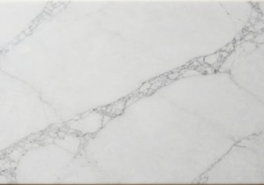 A top-down view of a pure white marble slab with delicate grey veining, polished to a mirror finish, clean and professional lighting.