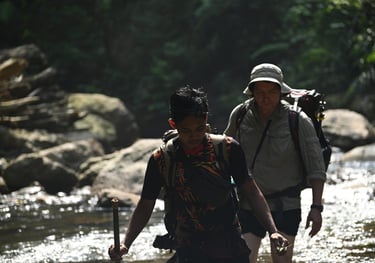 About Us Sumatra Orangutans