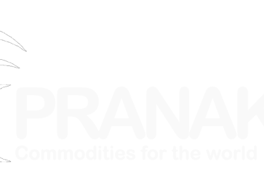 Arabica Green Bean Coffee Non Roasting supplier