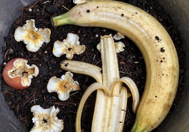 waste food convert to compost