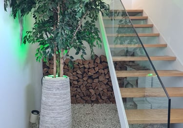 entrada de casa y leñero