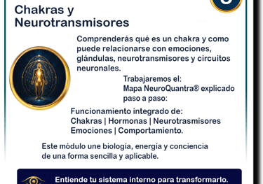 Clica para agrandar