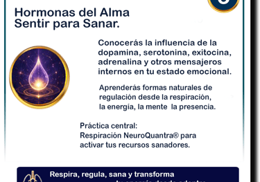 Clic para agrandar