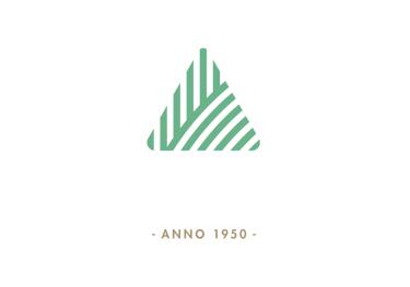 Minimalist green triangle logo with diagonal stripes above the text Anno 1950 on a white background.