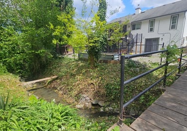 a stream with plants  cut back exposing the stream. There is a white house in the background