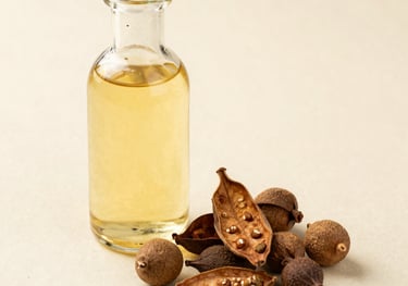 Still life photography of a clear glass bottle of golden liquid herbal medicine beside a handful of dried Haritaki fruits on a cream textured surface, South Asian / Indian style, warm earthy tones.