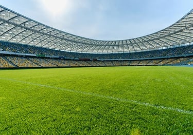 Campo de futebol com grama bermuda celebration