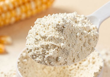 A close-up shot of a high-quality protein scoop lifting smooth, off-white powder, with golden corn grain blurred in the background.