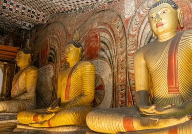 Sri Lanka Holidays by Soma Journeys