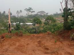 Terrain de construction à vendre a yaoundé nsimalen surplombant un paysage tropical et des maisons.