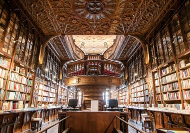 Tour no Porto: Ribeira, Douro, vinhos, Sé, Clérigos, Foz e Palácio Cristal, Livraria Lello, ...