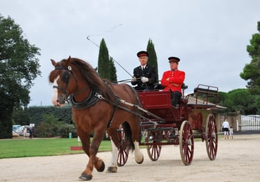 Two drivers in traditional uniforms guide a horse-drawn carriage along a gravel path.