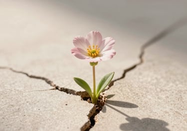 white and black abstract painting
