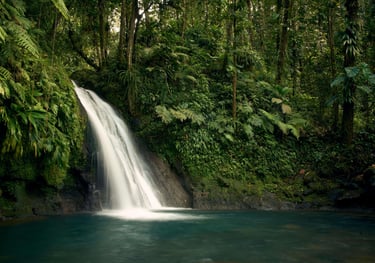 chutes en guadeloupe