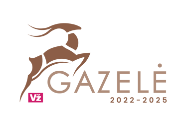 Verslo gazelė 2025 apdovanojimas
