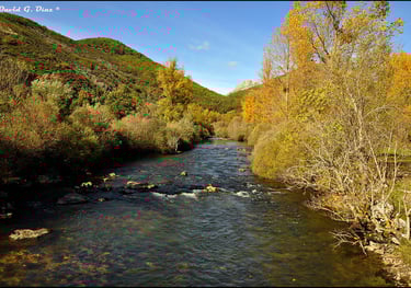Río Porma en León, zona de pesca en entorno natural