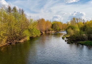 Río Órbigo en León, zona de pesca en entorno natural