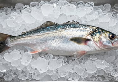 A silver sea bass on a bed of crushed ice, shining under bright, clean market lighting. Fresh and professional composition, Southern European / Italian style.