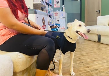 Lizza at Petland
