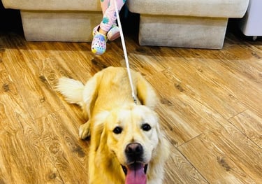 Floyd visits Petland regularly