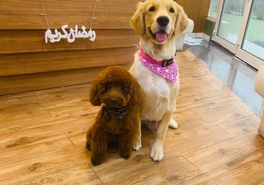 Myla and Miko at Petland