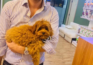 Kafka at Petland for consultation