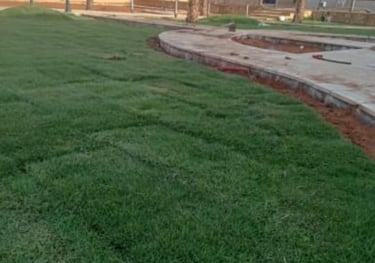 تنسيق حدائق بالخبر مؤسسة فردوس النسيم 