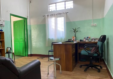 a living room with a couch and a chair