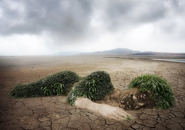 🌏 Collective Responsibility