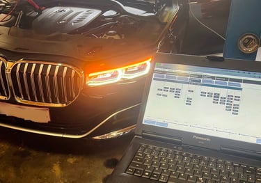 Computerdiagnose van een BMW