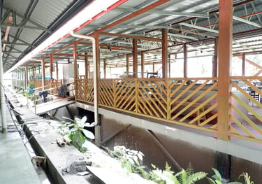 Signal Seafood Steamboat by GlobalKitc at KPD Avenue Kota Kinabalu