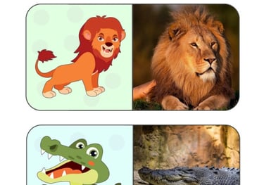 Carte degli Animali – Montessori