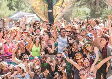 festival and party organization team