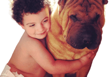 cuccioli sharpei campania