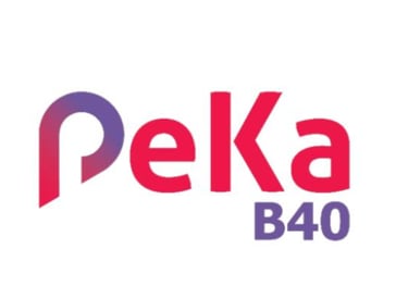 Official PeKa B40 healthcare scheme logo with purple and pink gradient text on a white background.