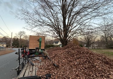 Spring + Fall Cleanups