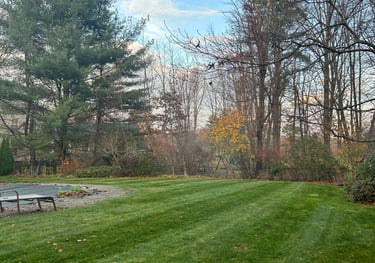 Lawn Mowing + Edging Service