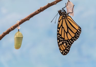 3-month-self-discovery-program
