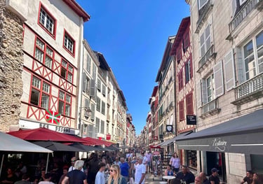 visita guiada bayonne
