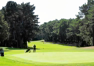 Acheter ou vendre maison Ploemel