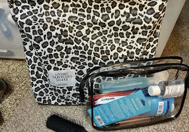 leopard shoulder bag with essentials