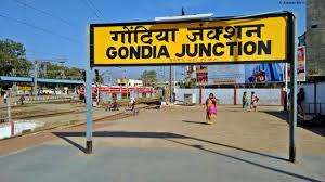 Internship In Gondia