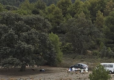 Encina del paraje El Charco en la Sierra de Carrascoy