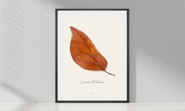 Collection posters couleurs d'automne 