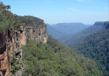 Image of Morton National Park at Fitzroy Falls