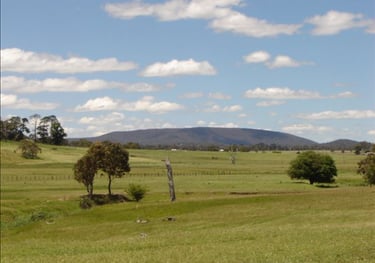 Picture of View of Mount Duval with farms in the foreground