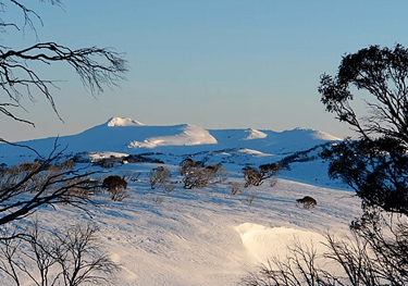 picture of Sunrise over Mount Jagungal