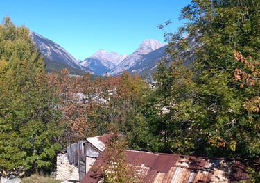 Vue montagne de la maison